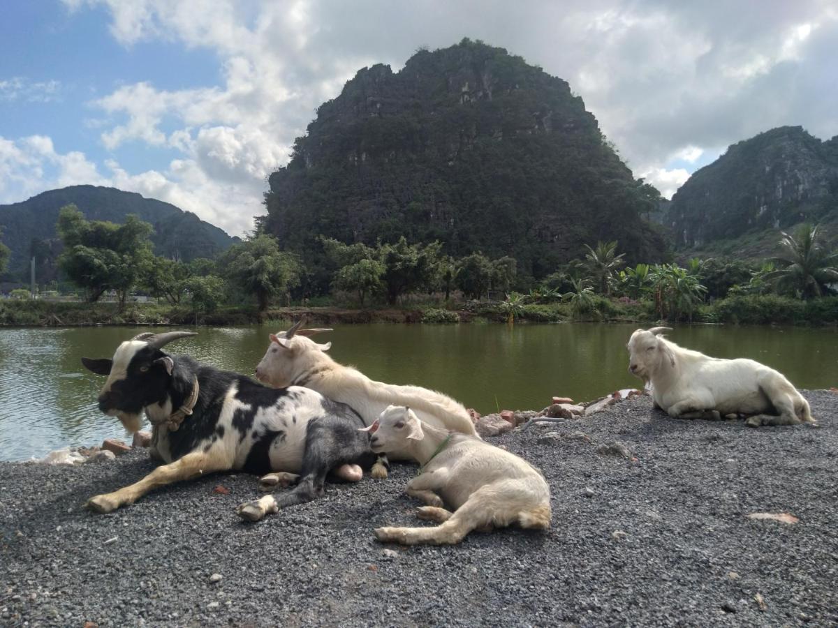 Ali Homestay Ninh Binh Exterior photo